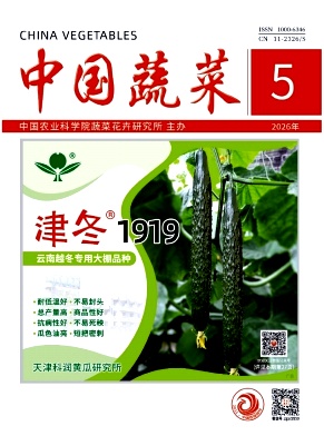 中国蔬菜封面